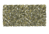 Japanese Sencha